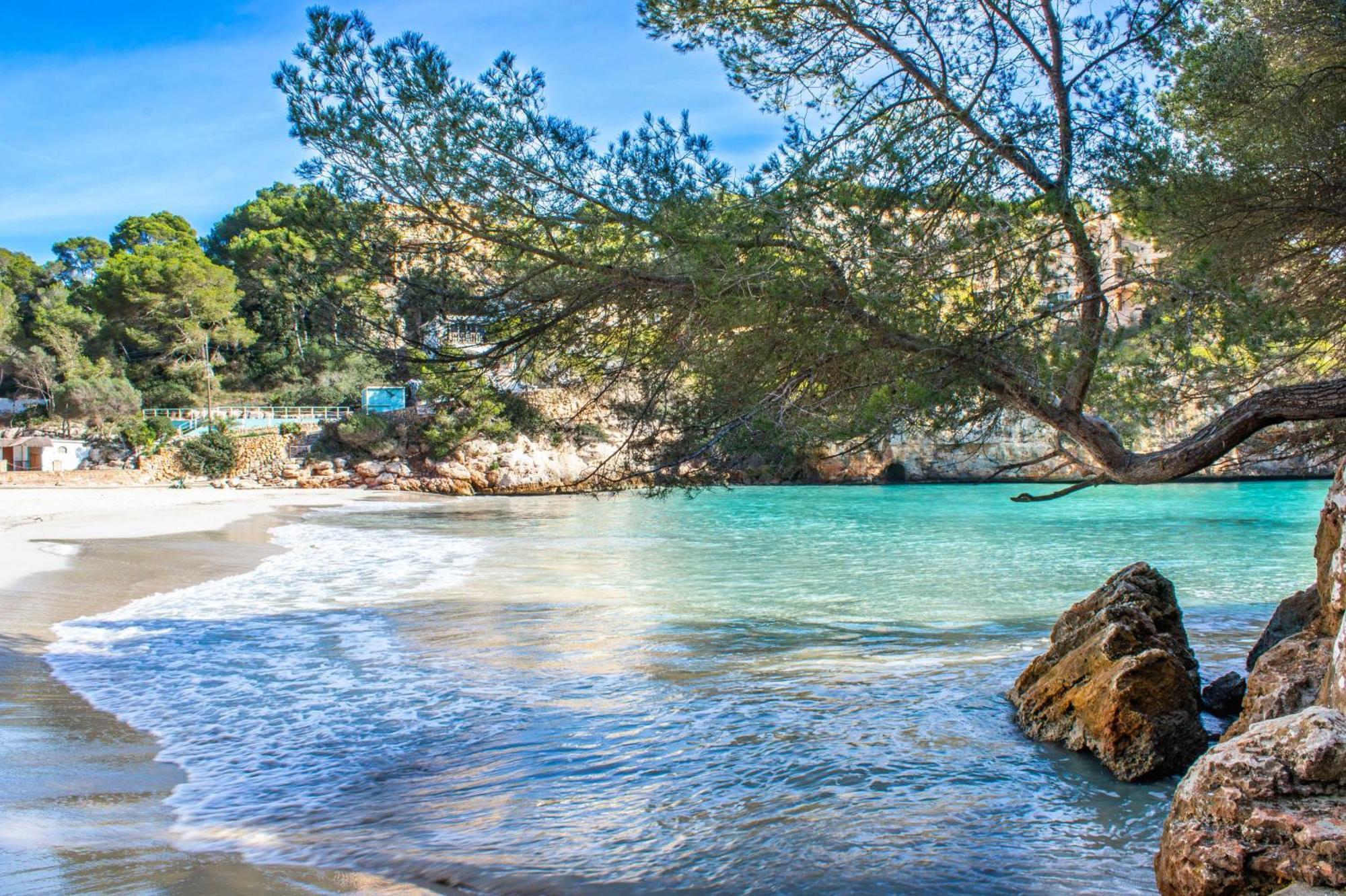 Hébergement de vacances Beachhouse Sa Barca